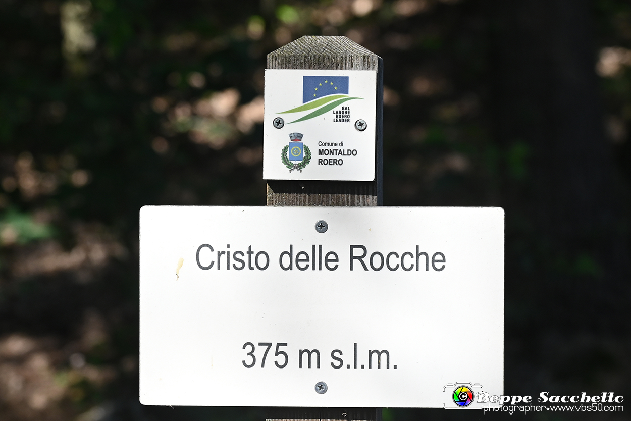 VBS_4741 - Il bosco fatato - Montaldo Roero.jpg